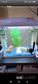  acquario 60/65 litri  leggere descrizione 