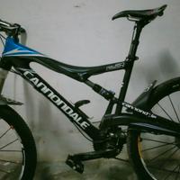 cannondale