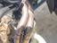 Immagine 23