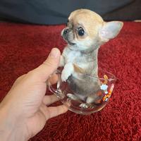 Chihuahua Femmina Mini 3 mesi