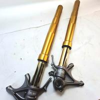 Ohlins elettroniche FL 956 Per Ducati Panigale V2