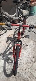 Bicicletta