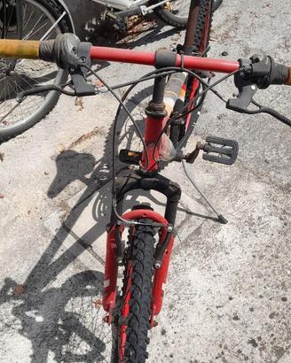 Bicicletta