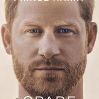 libro spare il minore copertina rigida