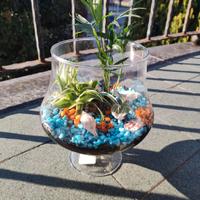 terrari 
