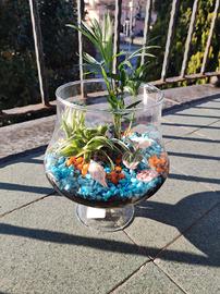terrari 