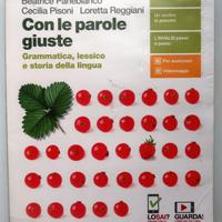 Libro scolastico usato ISBN 9788808314611