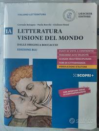 Letteratura Visione del mondo 