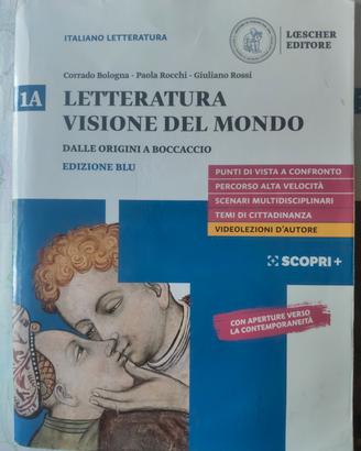 Letteratura Visione del mondo 