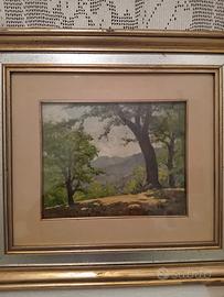 2 quadri CARLO MUSSO 24 x 20 olio