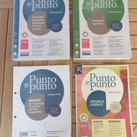 Punto per punto di Rosetta Zordan 