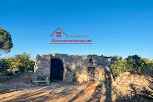 Struttura esclusiva immersa nel verde