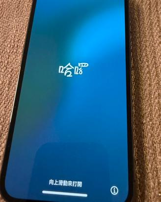 iPhone 13 Pro - 256 GB - colore graphite