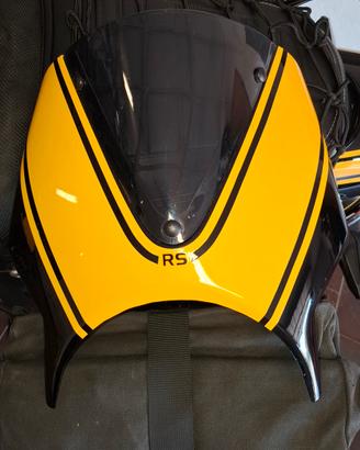 Cupolino piramide z900rs se