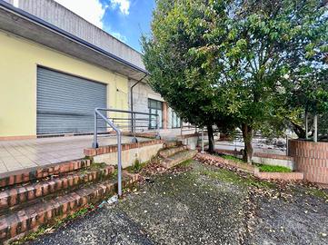 NEGOZIO A CASTELLALTO