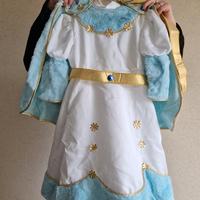 vestito carnevale regina delle nevi 2/3 anni 