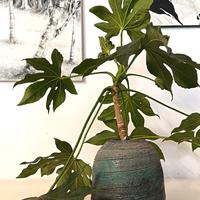 oggetti ceramica 