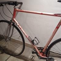 Olmo sintex Columbus 