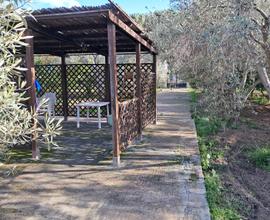 R.433 Terreno litorale Quartu S.E. (Ca)