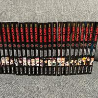 Demon Slayer 1-23 completa