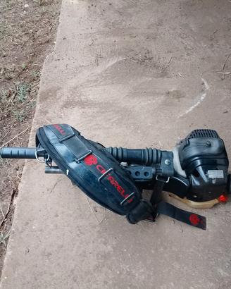 cifarelli 