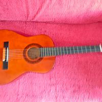 Chitarra Acustica