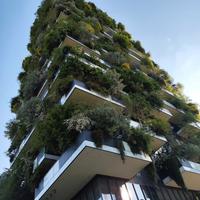 Posto moto bosco verticale