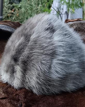 Cappello in Visone Grigio 