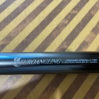 Daiwa Sprinter Surf 3,90 mt. 50-100 GR.