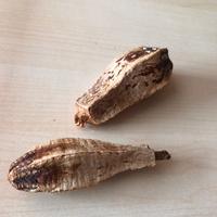 Arredo acquario terrario - baccelli di mogano