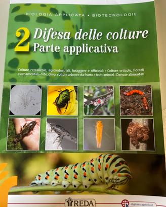 Libri
