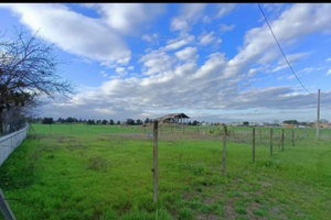 Vendita suolo ginosa marina