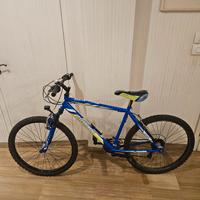 Mountain bike 