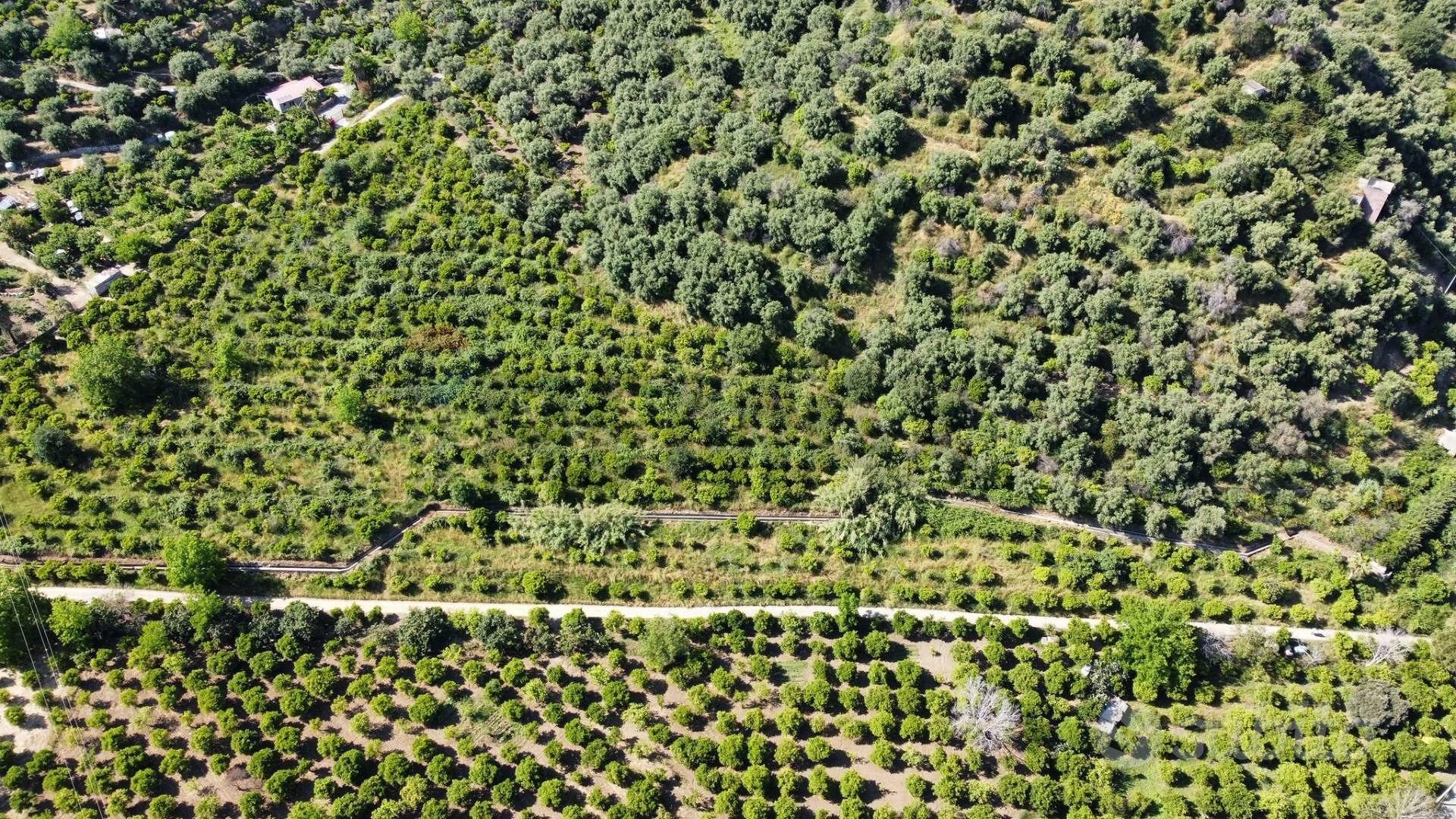 Terreno - Taormina - Vista 5