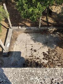 Terreno con uliveto.