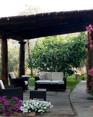 Pergola in legno