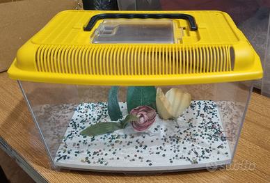 Acquario piccolo trasporto