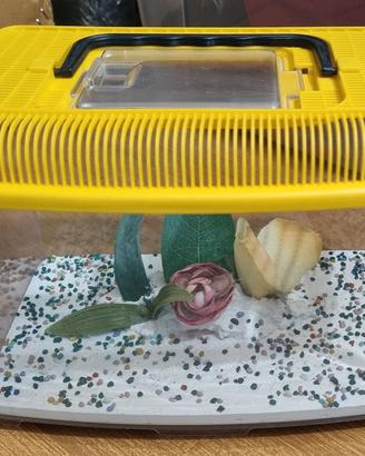 Acquario piccolo trasporto