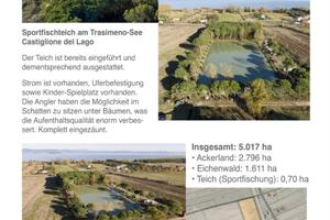 Laghetto di pesca sportiva - Trasimeno