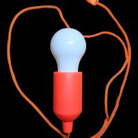 Lampadina led portatile