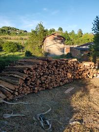 Legna da ardere a prevalenza di robinia