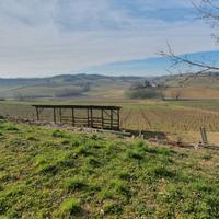 Moncalvo at vigna 25000 mq e cascina panoramica