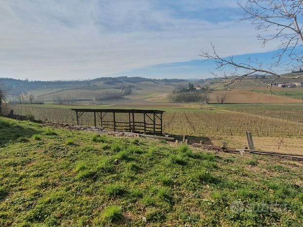 Moncalvo at vigna 25000 mq e cascina panoramica