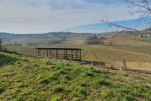 Moncalvo at vigna 25000 mq e cascina panoramica