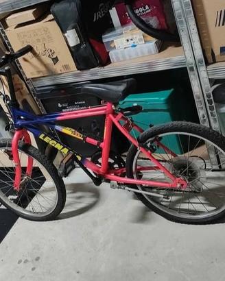 MTB bicicletta 20