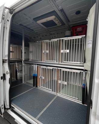 furgone trasporto cani