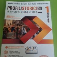 profili storici la ragioni della storia