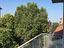 Immagine 13