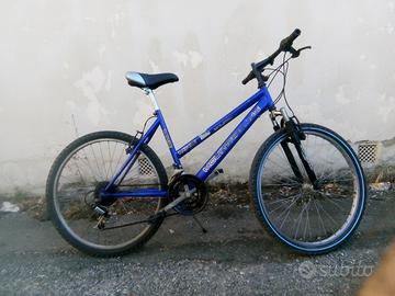 Mountain bike ruote di 26