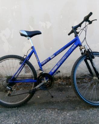 Mountain bike ruote di 26